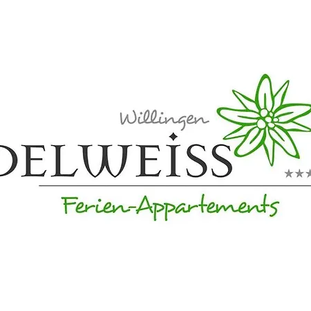Edelweiss 'ettelsberg' Deluxe Inkl Wellness-spa Und Meinecardplus Willingen (Upland)