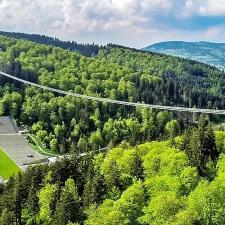 Edelweiss 'ettelsberg' Deluxe Mit Hotelanbindung, Saunalandschaft Und Meinecardplus Apartment *