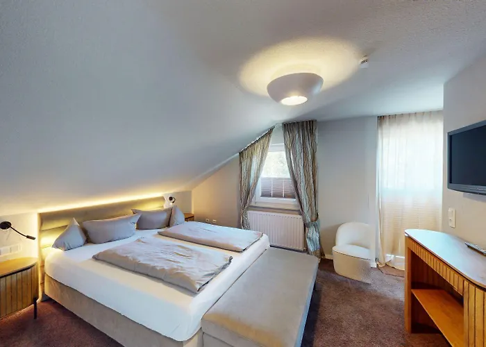 Edelweiss 'ettelsberg' Deluxe Mit Hotelanbindung, Saunalandschaft Und Meinecardplus * Willingen (Upland)