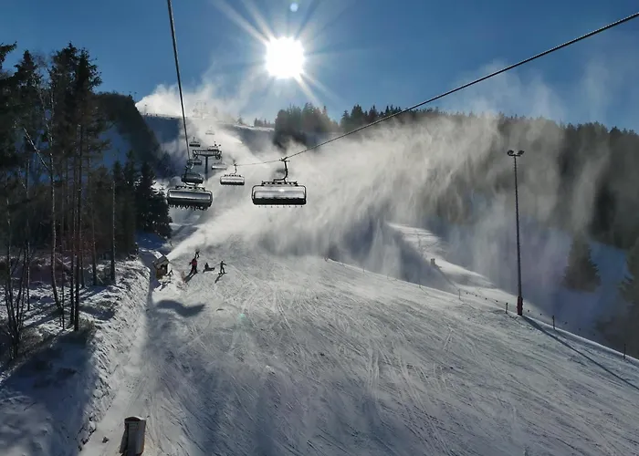 Edelweiss 'ettelsberg' Deluxe Mit Hotelanbindung, Saunalandschaft Und Meinecardplus Apartment *